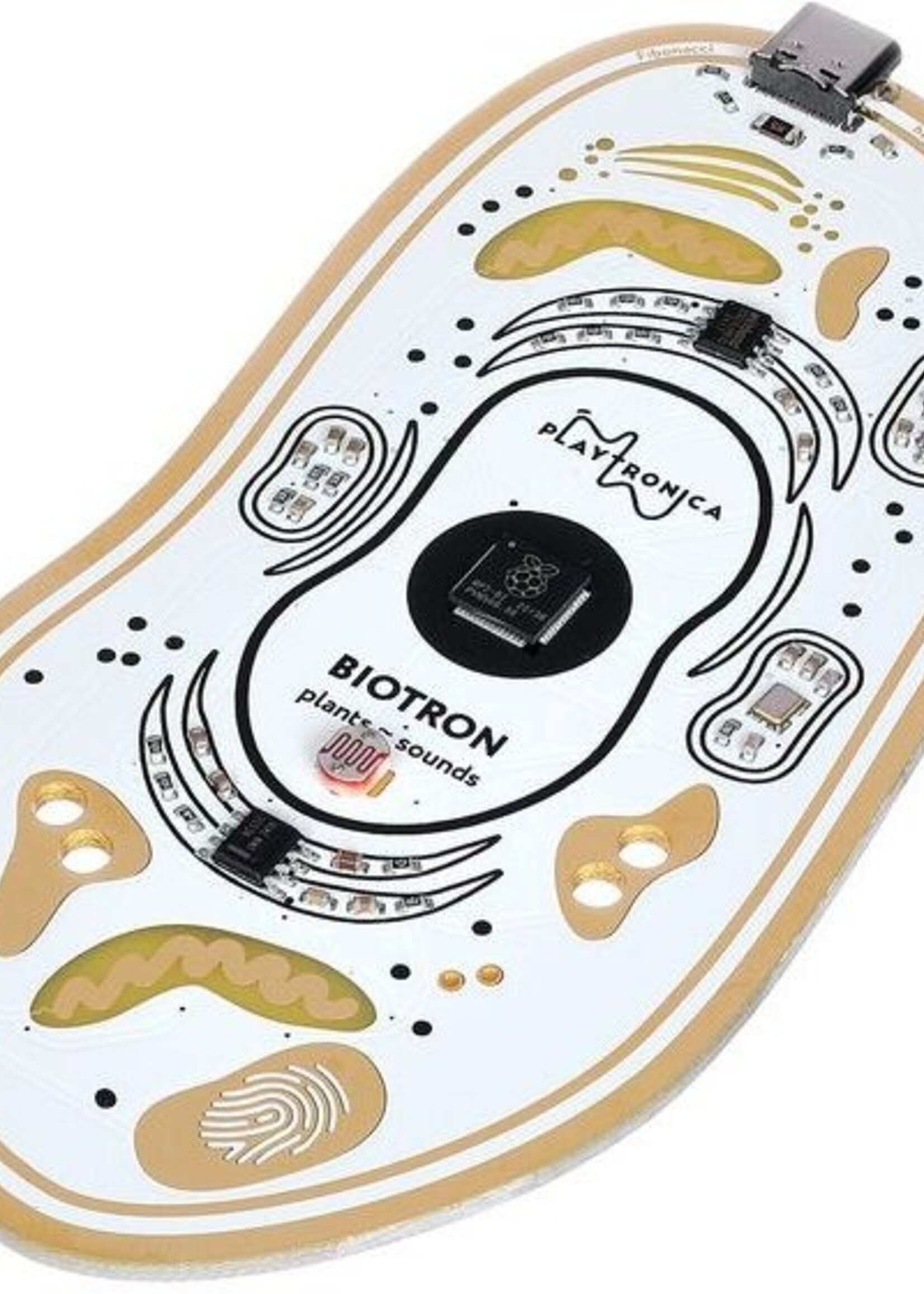 Playtronica  Biotron Midi Controller