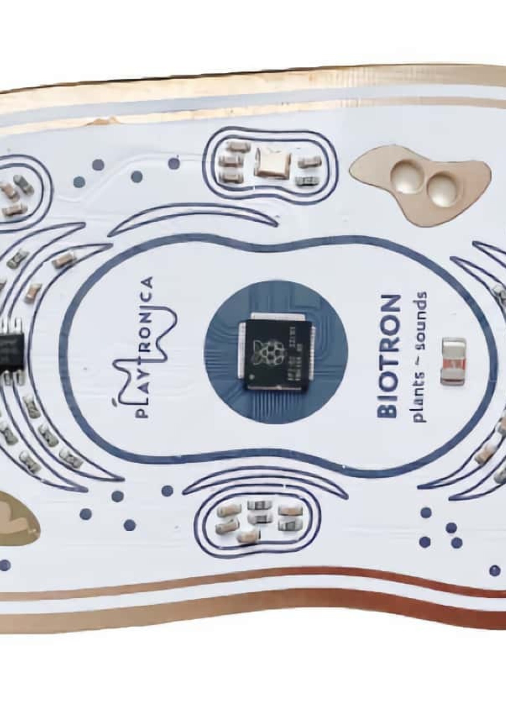 Playtronica  Biotron Midi Controller
