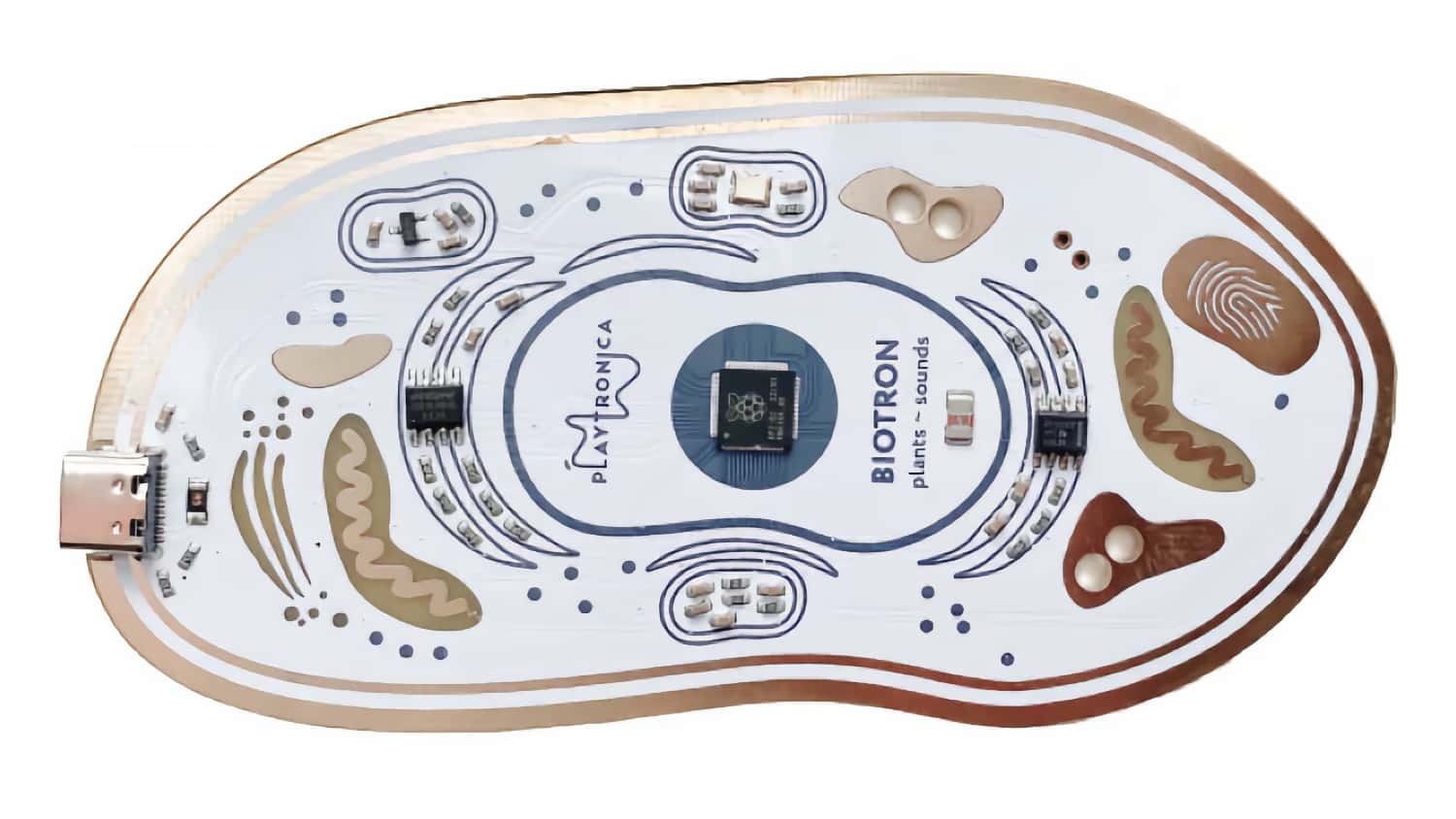 Playtronica Biotron Midi Controller