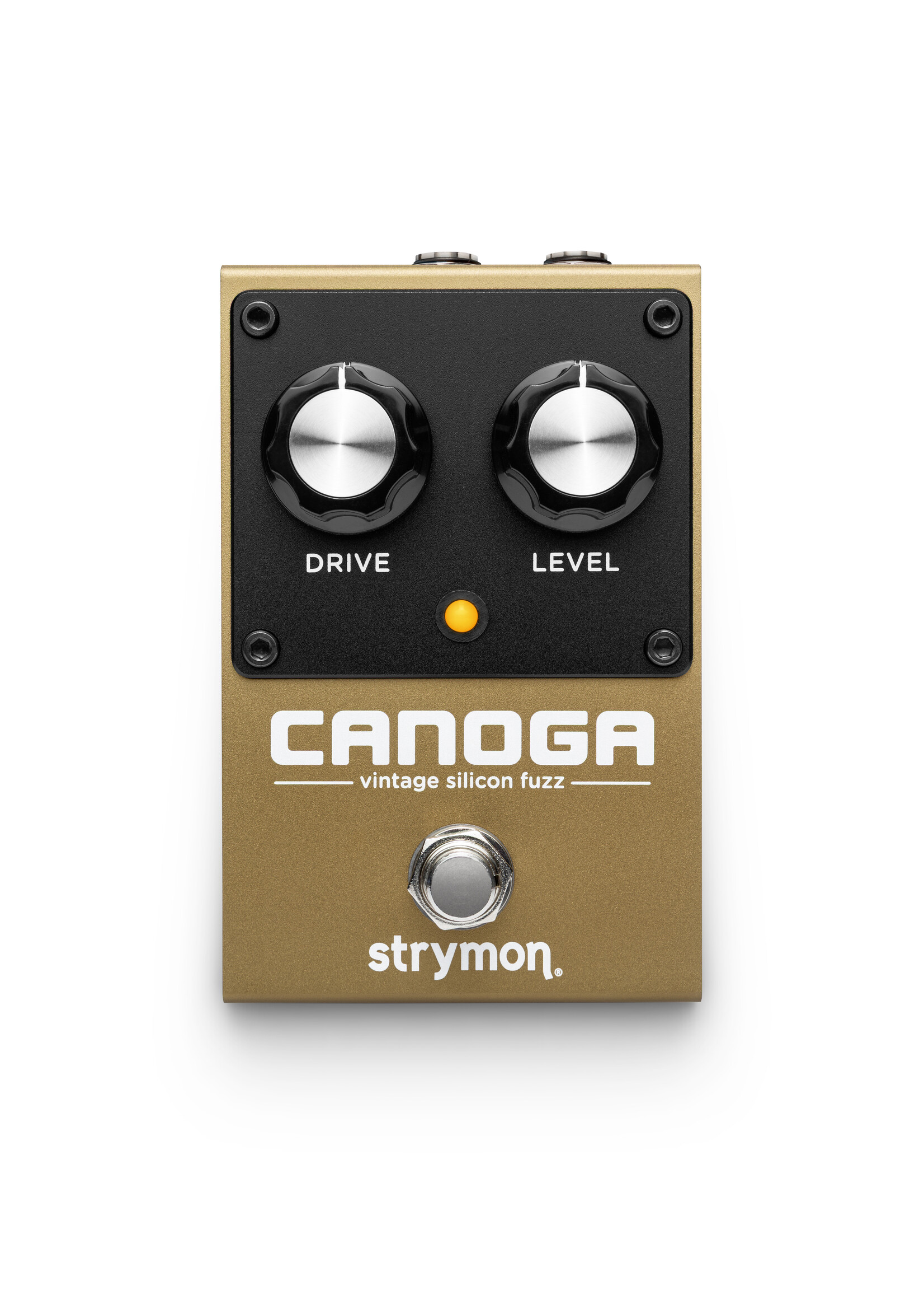Strymon Canoga