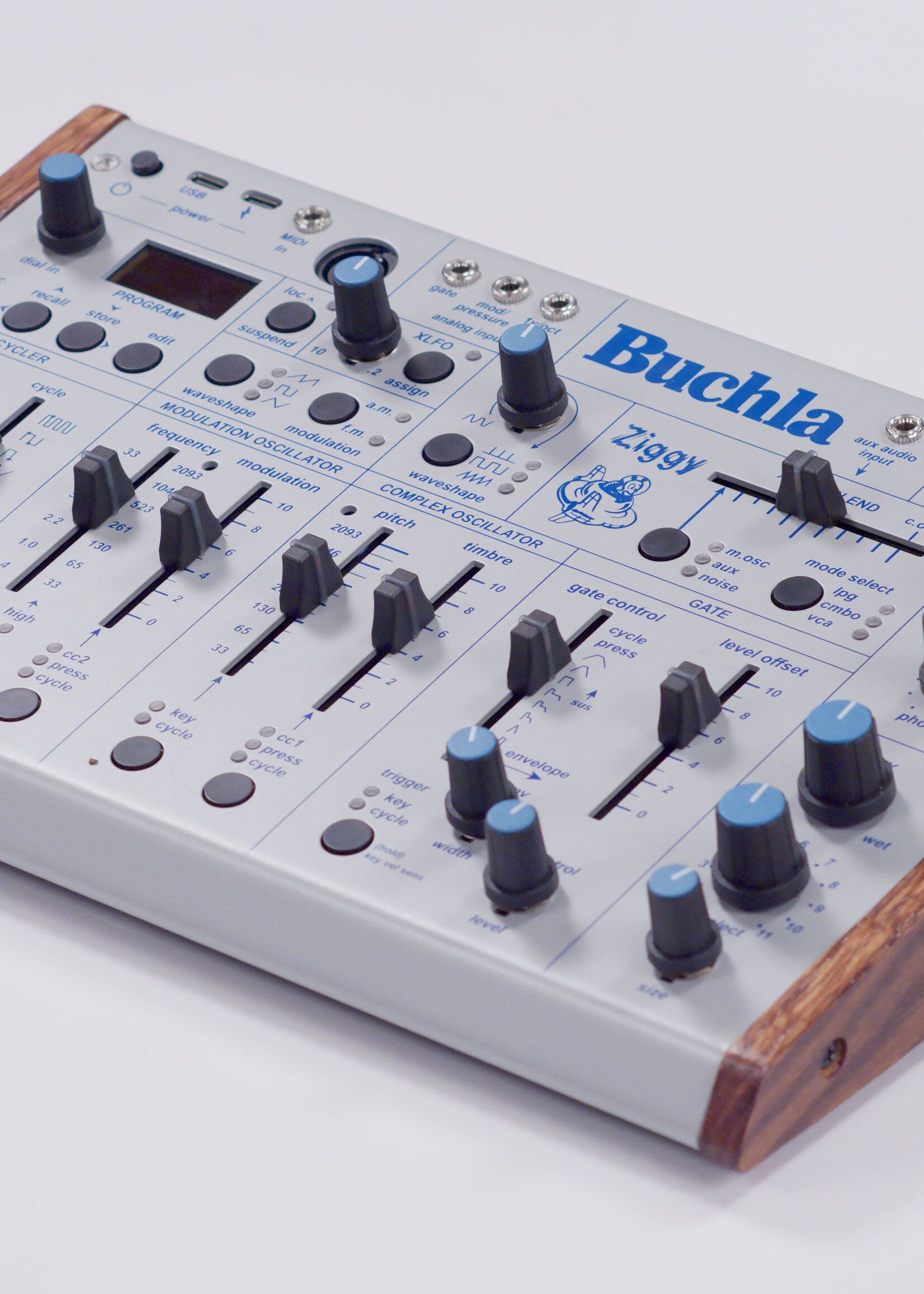Buchla Ziggy