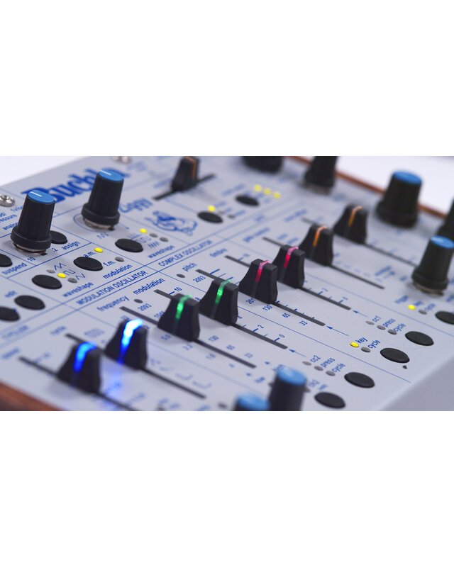 Buchla Ziggy