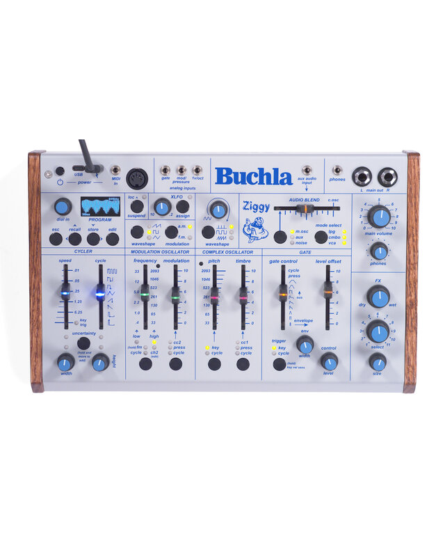 Buchla Ziggy