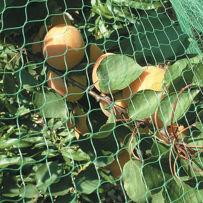 Filets de protection jardin Filets de protection jardin