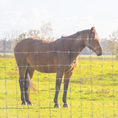 Grillage à chevaux