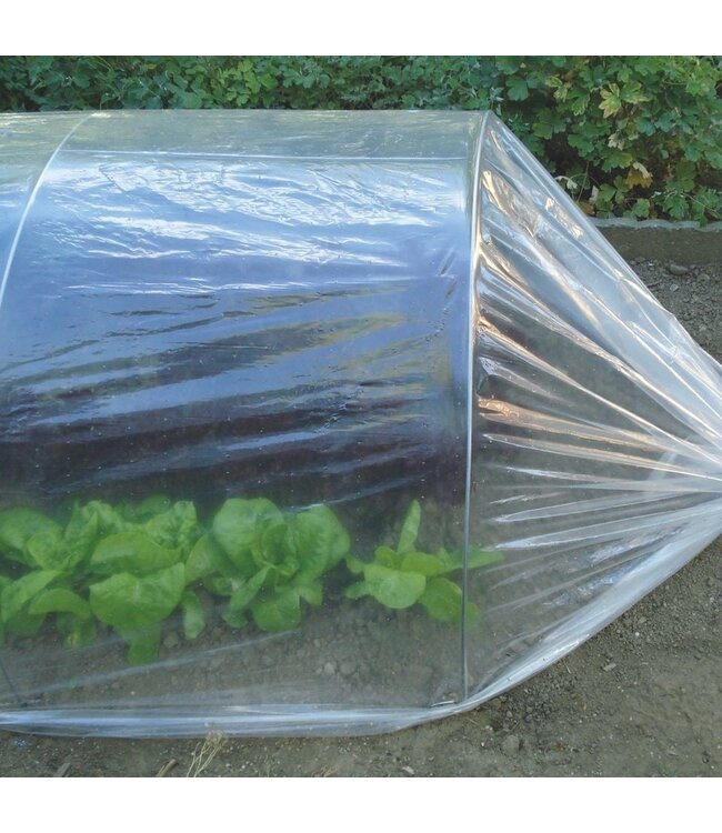 Tenax Film tunnel 2x10m