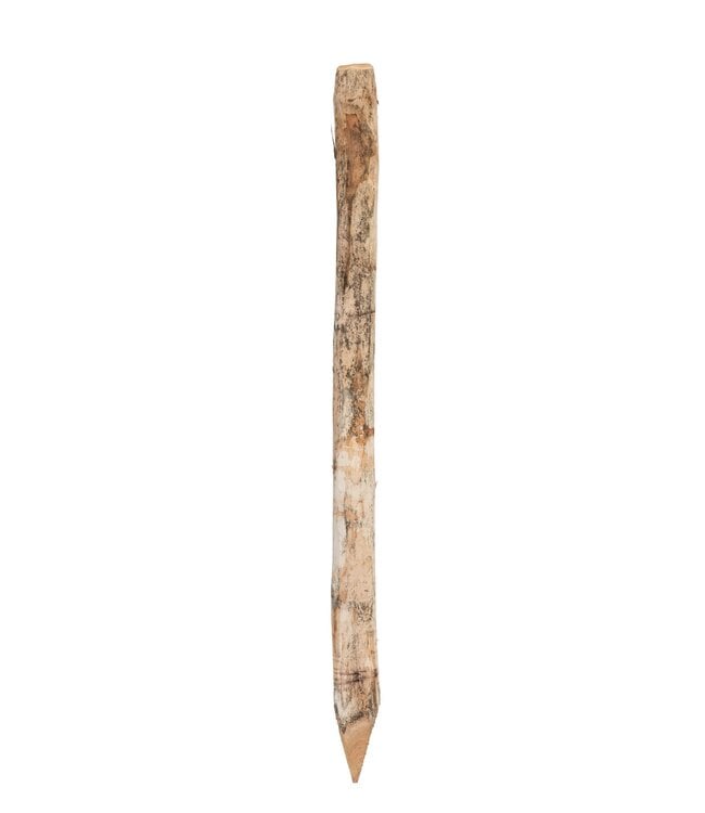 Garmix Poteaux Ronds Robinia 120cm 6-8cm
