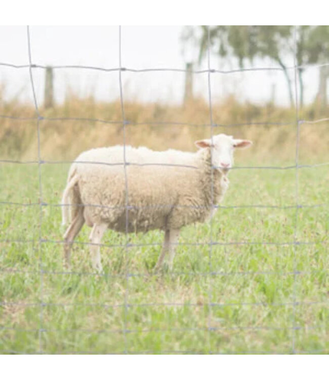 Kence Grillage à mouton 120cm 30cm 2.40/3.00mm 50m Galvanisé lourd