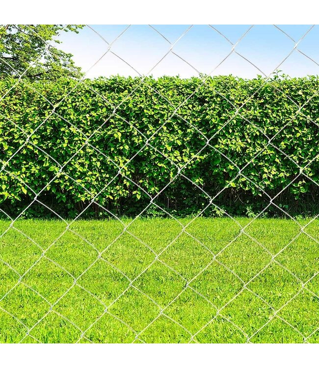 Garmix Grillage simple torsion 60x60mm 1.8mm 80cm 15m Galvanis≈Ω