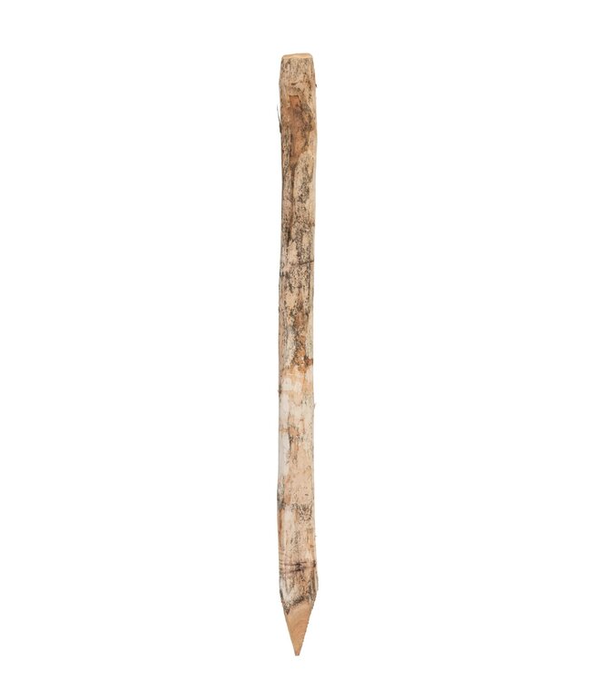 Garmix Poteaux Ronds Robinia 160cm 10-12cm