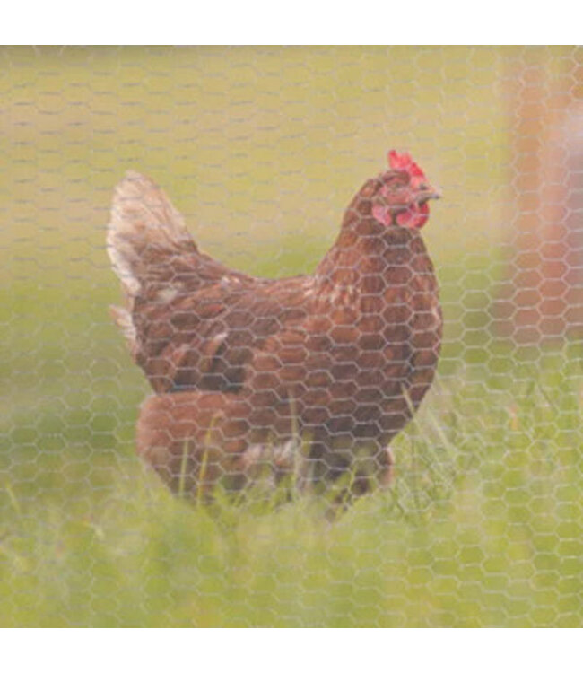 Garmix Grillage à poules 25 x 25mm 0,60mm 100cm x 10m galvanisé