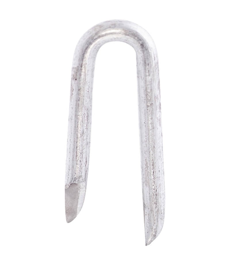 Agrafes métalliques 38x3,8mm 100 pièces | Giga Gaas