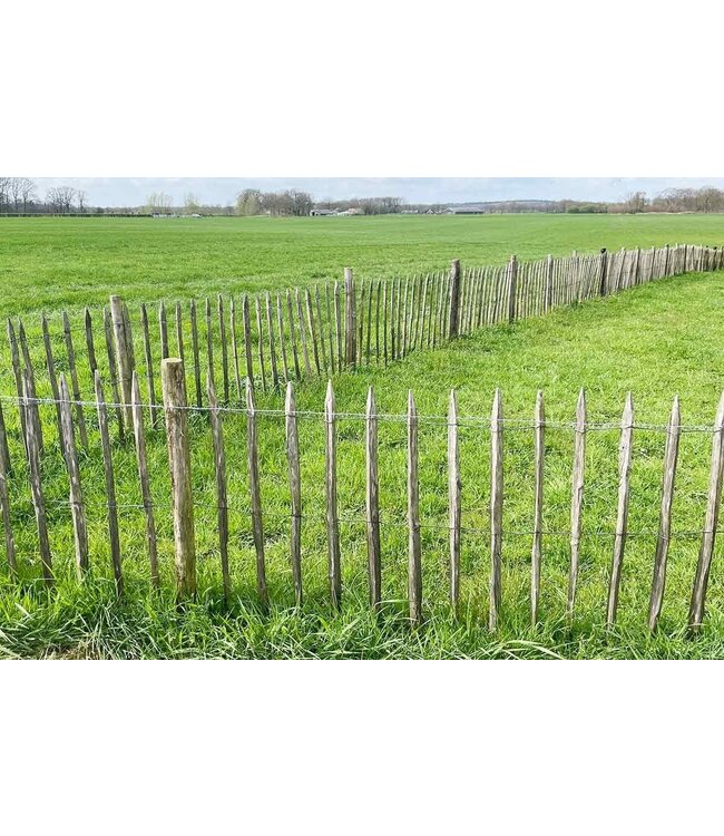 Garmix Clôture pour moutons 80cm distance 4-5cm, 5m
