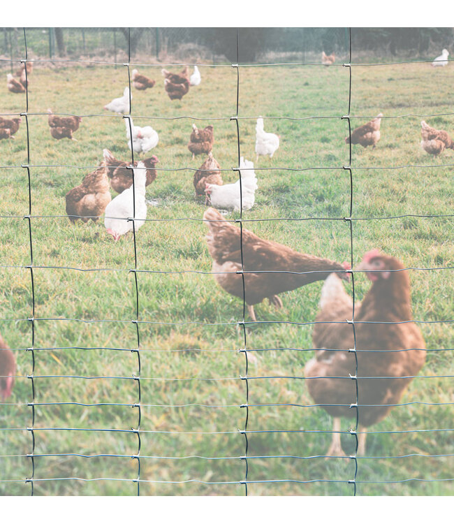 Garmix field fence 100cm with 5cm spacing