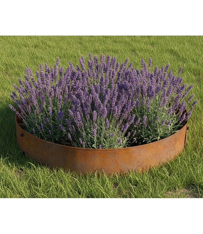 Garmix Bordures rondes en acier Corten, ø 100 cm - hauteur 14 cm (2 pièces)