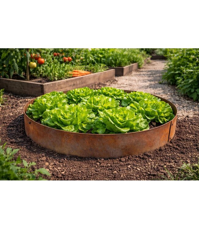 Garmix Bordures rondes en acier Corten, ø 100 cm - hauteur 14 cm (2 pièces)