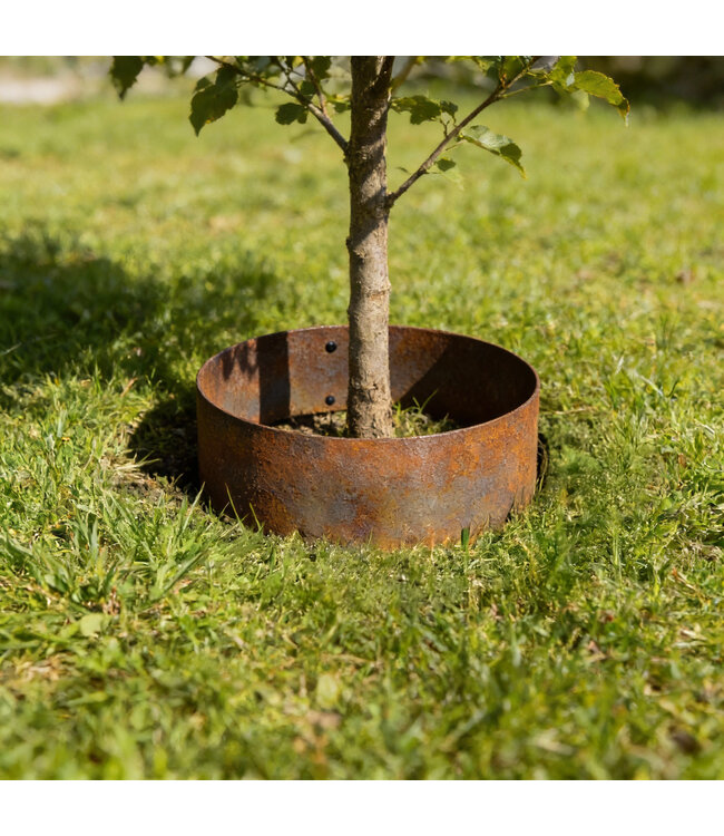 Garmix Bordures rondes en acier Corten, ø 40 cm - hauteur 14 cm (5 pièces)