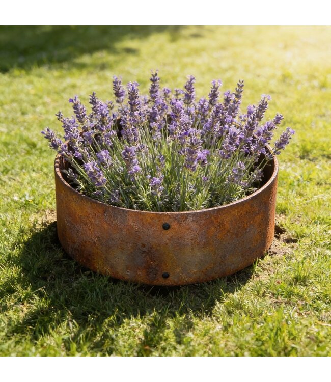 Garmix ø 40 cm Bordure ronde en acier Corten - 14cm de haut (5 pièces)