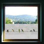 Und dieser horizontale Fensterfolie