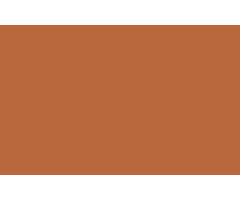 SAINT CLAIR TEXTILES LAC-650SL, FIRE RESISTANT 680 GR, WIDTH 300 CM/COGNAC - 7656