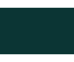 SAINT CLAIR TEXTILES LAC-650SL, FIRE RESISTANT 680 GR, WIDTH 300 CM/GREEN - 567