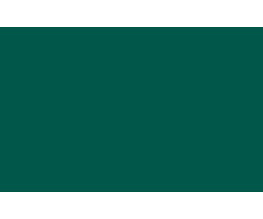 SAINT CLAIR TEXTILES FLAME RETARDANT, SILK GLOSS 500 GR, WIDTH 150 CM/DARK GREEN - RAL 6026