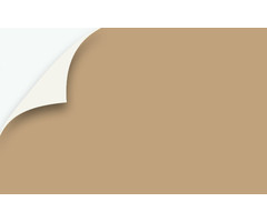 SAINT CLAIR TEXTILES TOPCARE 310 GR, WIDTH 300 CM/BEIGE - 7673
