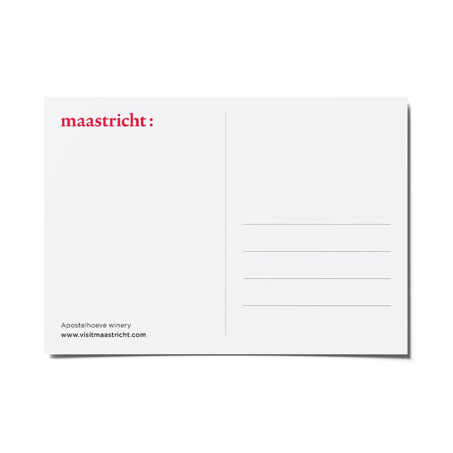 Maastricht Store Ansichtkaart Apostelhoeve