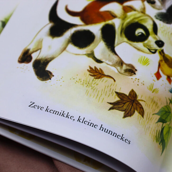 Jane Werner 't Eigewies Eendsje