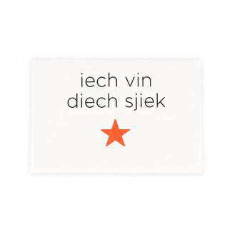 Maastricht Magneet dialect 'Iech vin diech sjiek'