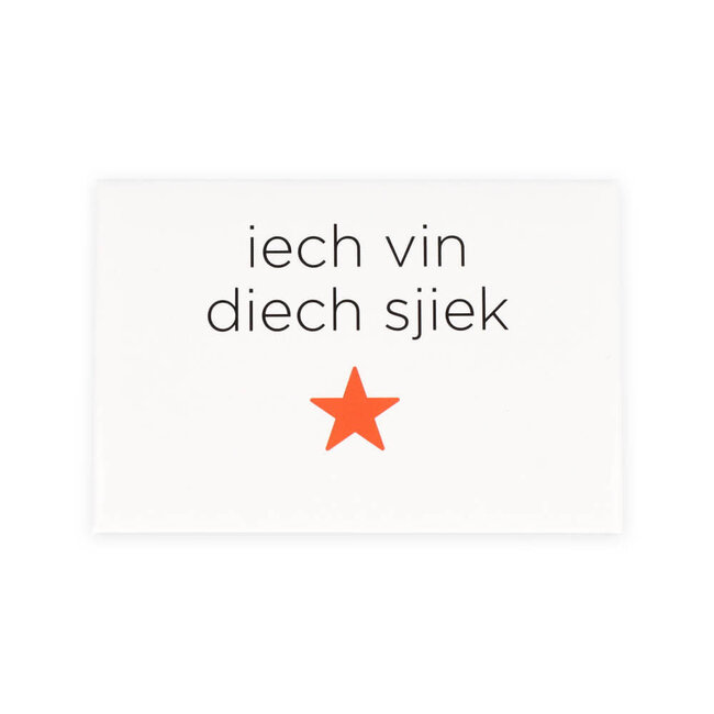 Maastricht Magneet dialect 'Iech vin diech sjiek'