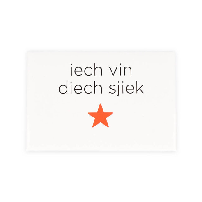 Maastricht Store Magneet dialect 'Iech vin diech sjiek'