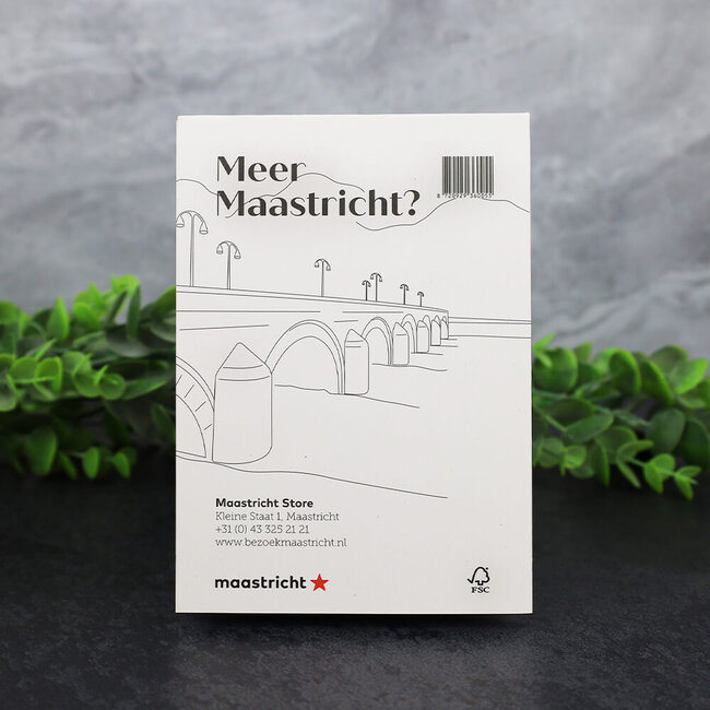 Maastricht Store Fietsroute 'De karakteristieke wijken van Maastricht'