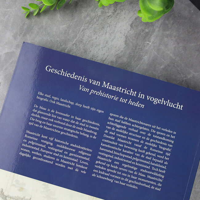 Jac van den Boogard Geschiedenis van Maastricht in vogelvlucht