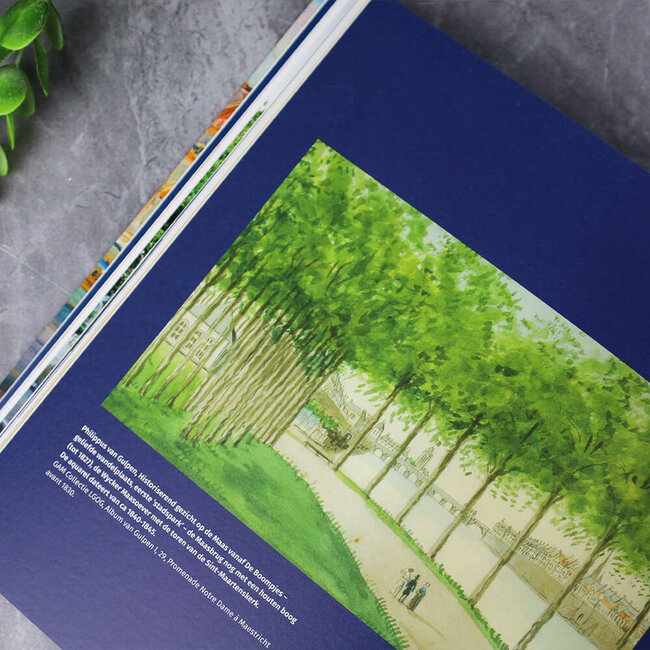 Jac van den Boogard Geschiedenis van Maastricht in vogelvlucht