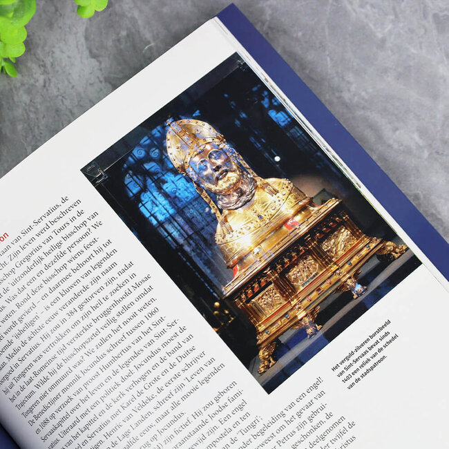 Jac van den Boogard Geschiedenis van Maastricht in vogelvlucht