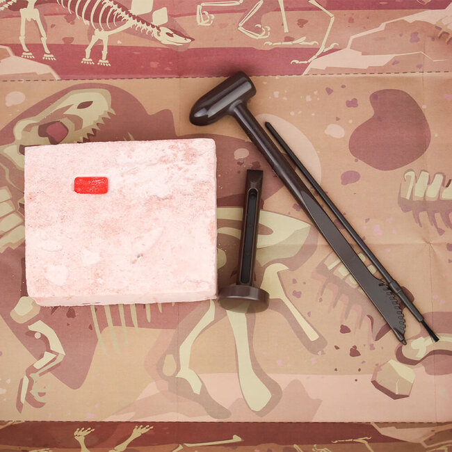 4M KidzLabs Opgraafset Mosasaurus