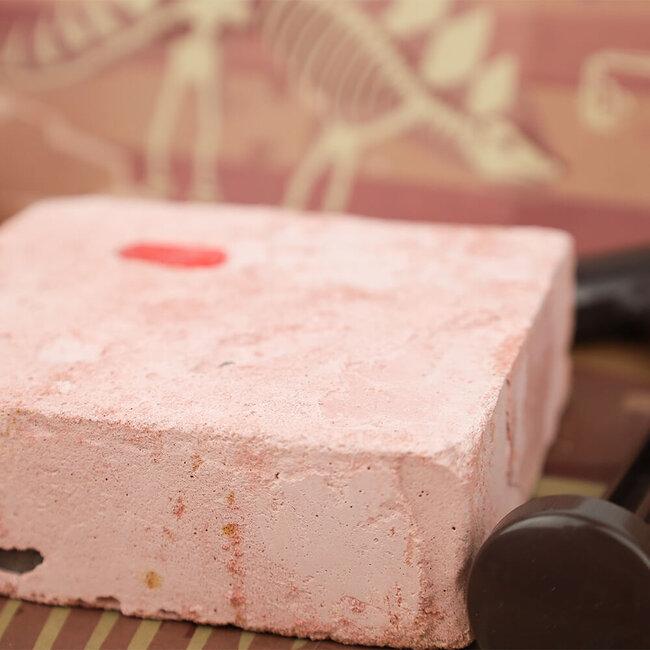 4M KidzLabs Opgraafset Mosasaurus