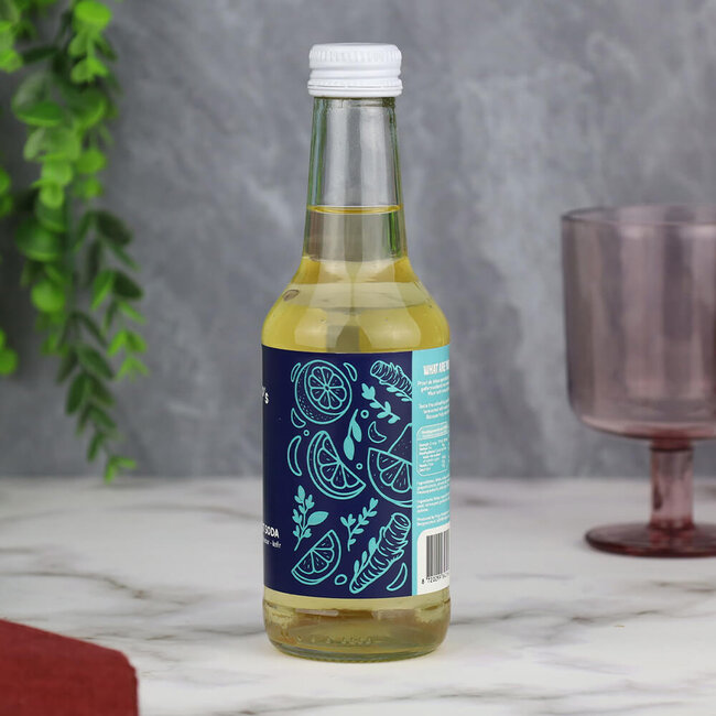 Prop's brewery Kefir soda tonic botanical - 250 ml