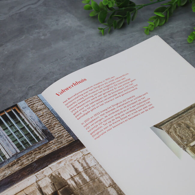 3D bouwplaat Dinghuis Maastricht