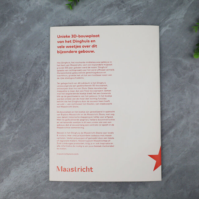 3D bouwplaat Dinghuis Maastricht