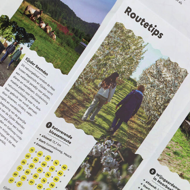 Visit Zuid Limburg Wandelkaart Heuvelland West Knopen Lopen