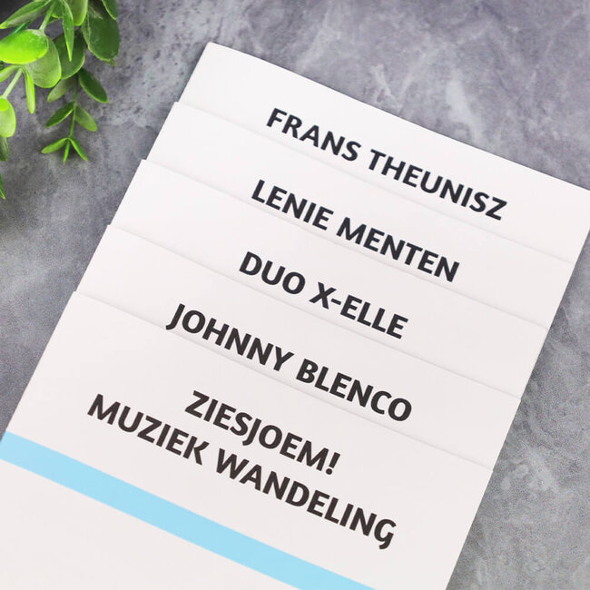 Stiechting Aw Sjevraoje Muziekwandeling - Frans Theunisz