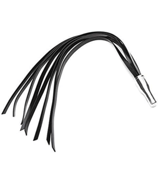 The Electro Whip