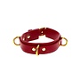 Taboom D-Ring Collar Deluxe