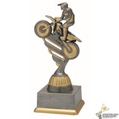 Voordelige Motorcross trofee met een antiek look