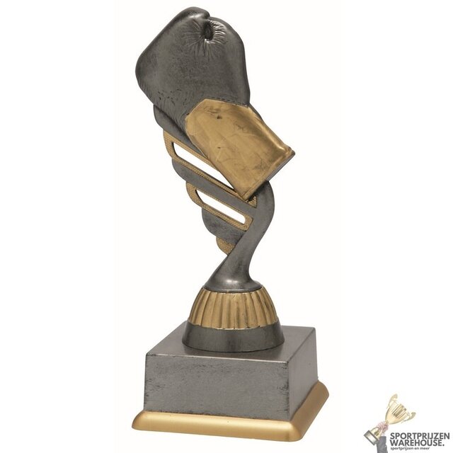 Voordelige Boks trofee met een antiek look Voordelige Boks trofee met een antiek look