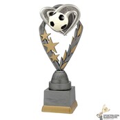 Voetbal sportprijs Voetbal sportprijs