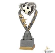 Voetbal sportprijs