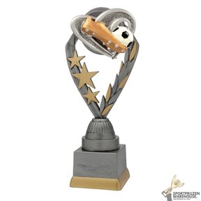 Voetbal sportprijs - PFS.004